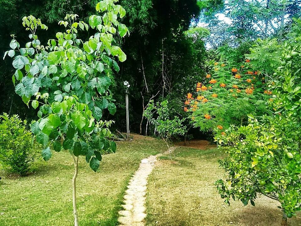 Pousada Orquideas Da Canastra Vargem Bonita Kültér fotó